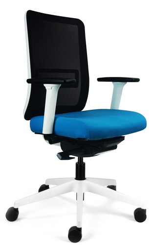 Neon Mesh Back Task Chair