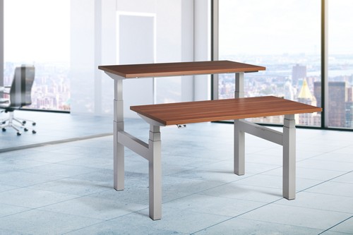 Duo Two-Person Sit Stand Desks 