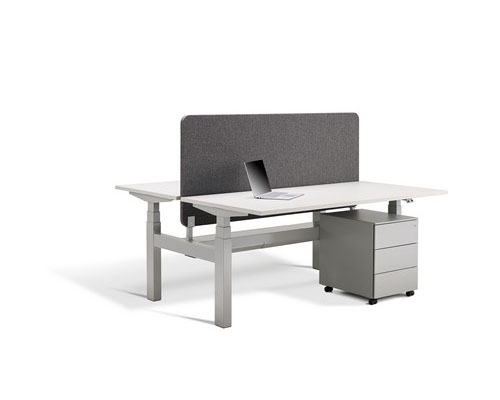 Duo Two-Person Sit Stand Desks with a dividing screen