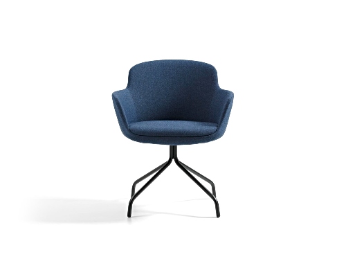 Danny Meeting Chair