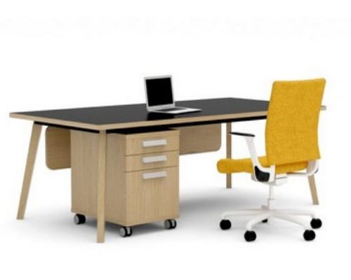 Martin Desks