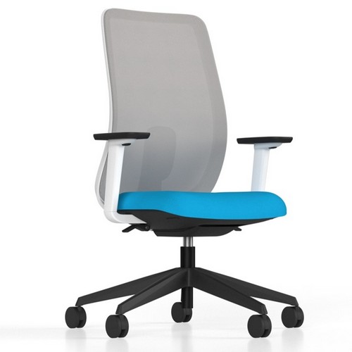 Echo Sustainable Task Chair| grey mesh back | blue seat