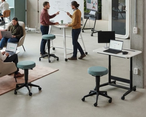 Libra-Flex Dynamic Stools